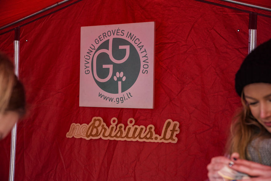 1 Like = 1 Food Serving For Shelter Animals 1 Like = 1 Food Serving For Shelter Animals