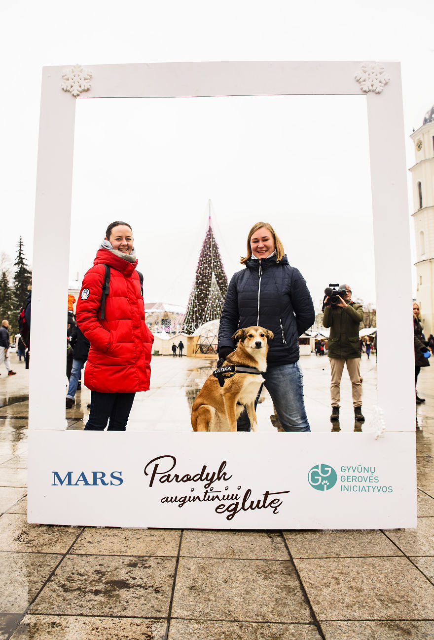 1 Like = 1 Food Serving For Shelter Animals 1 Like = 1 Food Serving For Shelter Animals