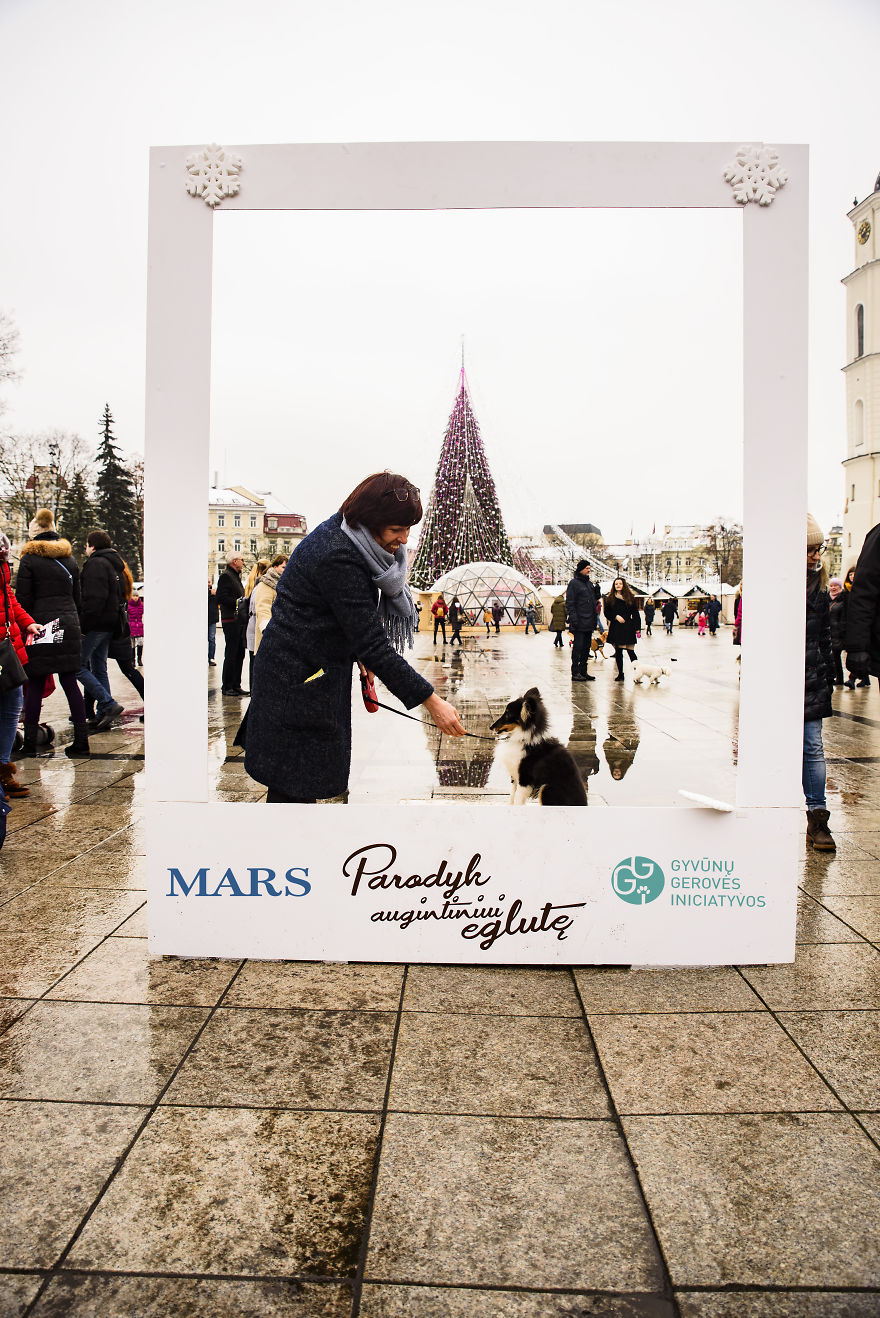 1 Like = 1 Food Serving For Shelter Animals 1 Like = 1 Food Serving For Shelter Animals