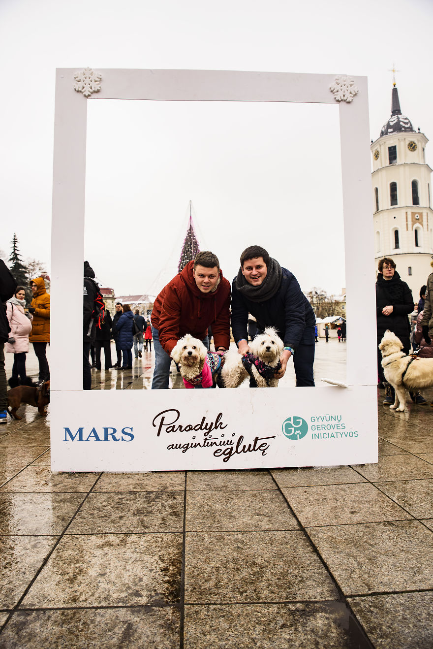 1 Like = 1 Food Serving For Shelter Animals 1 Like = 1 Food Serving For Shelter Animals