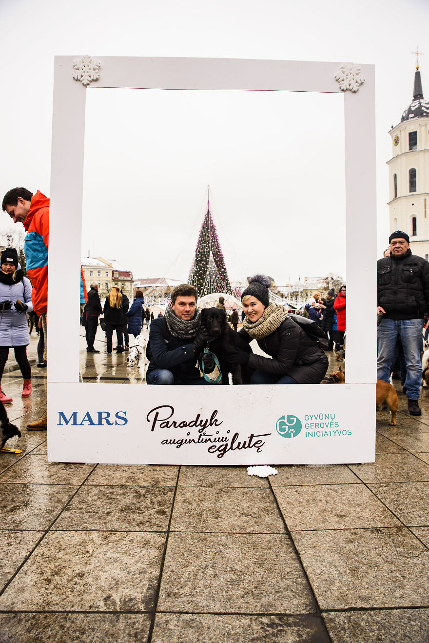 1 Like = 1 Food Serving For Shelter Animals 1 Like = 1 Food Serving For Shelter Animals