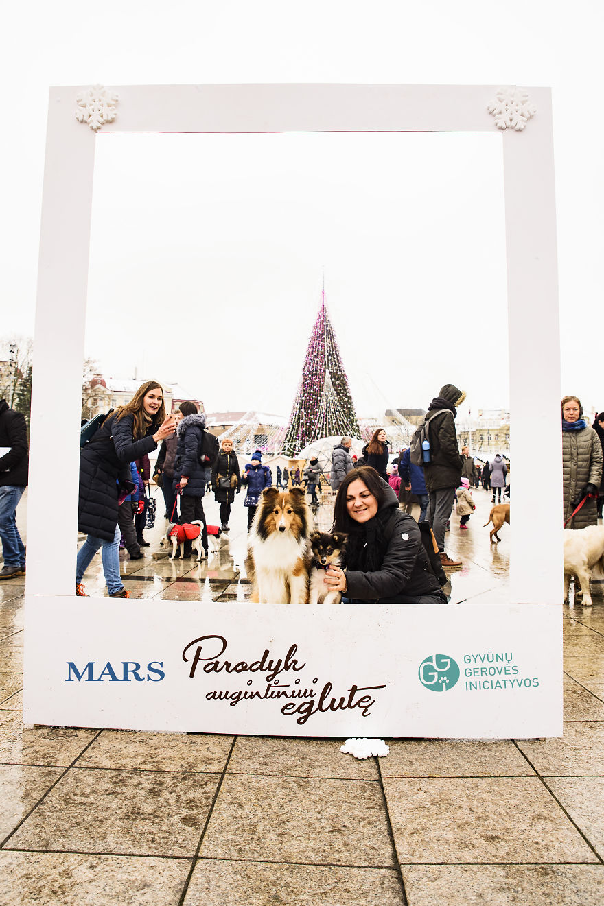 1 Like = 1 Food Serving For Shelter Animals 1 Like = 1 Food Serving For Shelter Animals