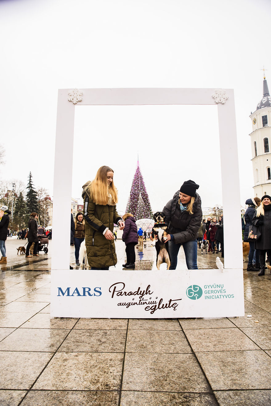 1 Like = 1 Food Serving For Shelter Animals 1 Like = 1 Food Serving For Shelter Animals