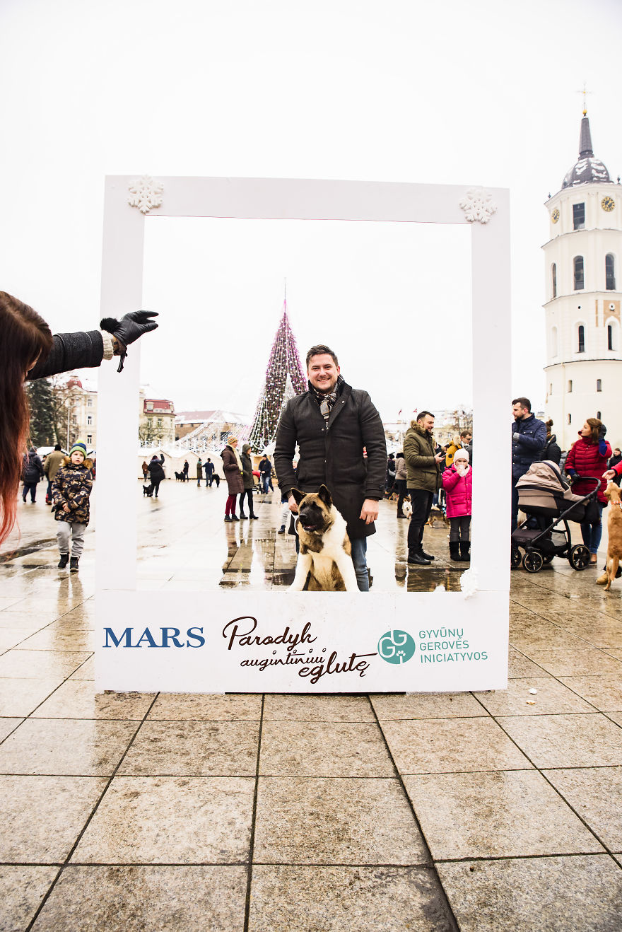 1 Like = 1 Food Serving For Shelter Animals 1 Like = 1 Food Serving For Shelter Animals