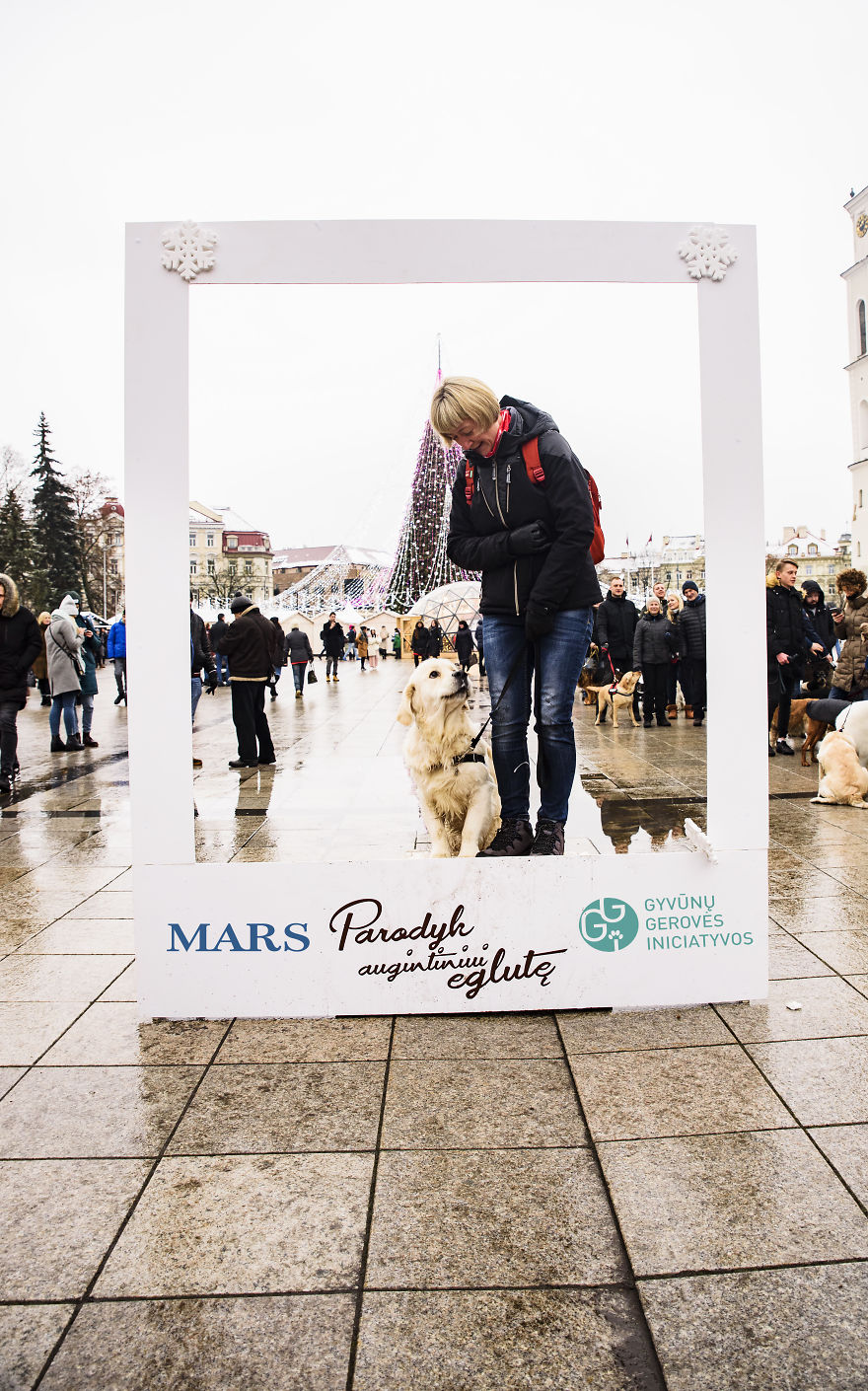 1 Like = 1 Food Serving For Shelter Animals 1 Like = 1 Food Serving For Shelter Animals