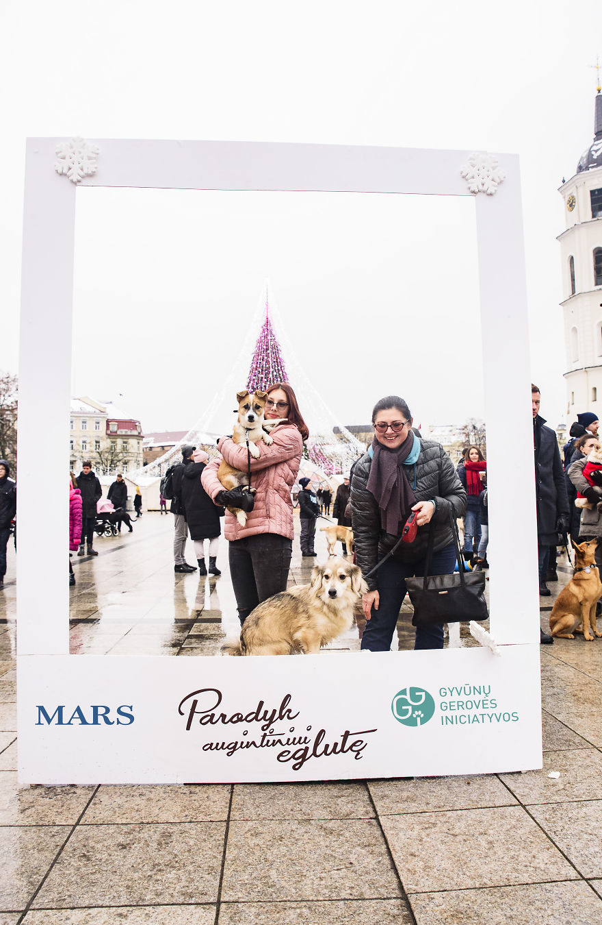 1 Like = 1 Food Serving For Shelter Animals 1 Like = 1 Food Serving For Shelter Animals