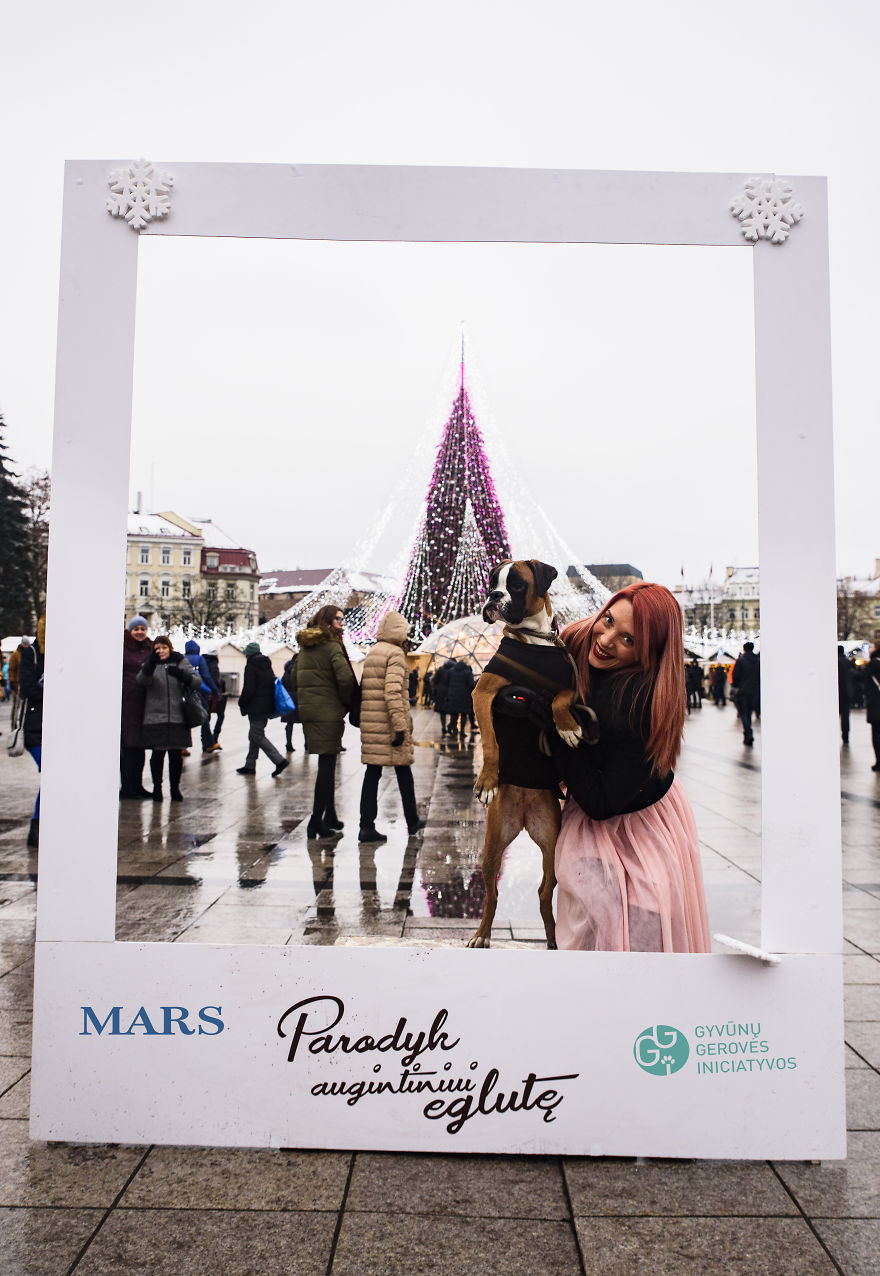 1 Like = 1 Food Serving For Shelter Animals 1 Like = 1 Food Serving For Shelter Animals