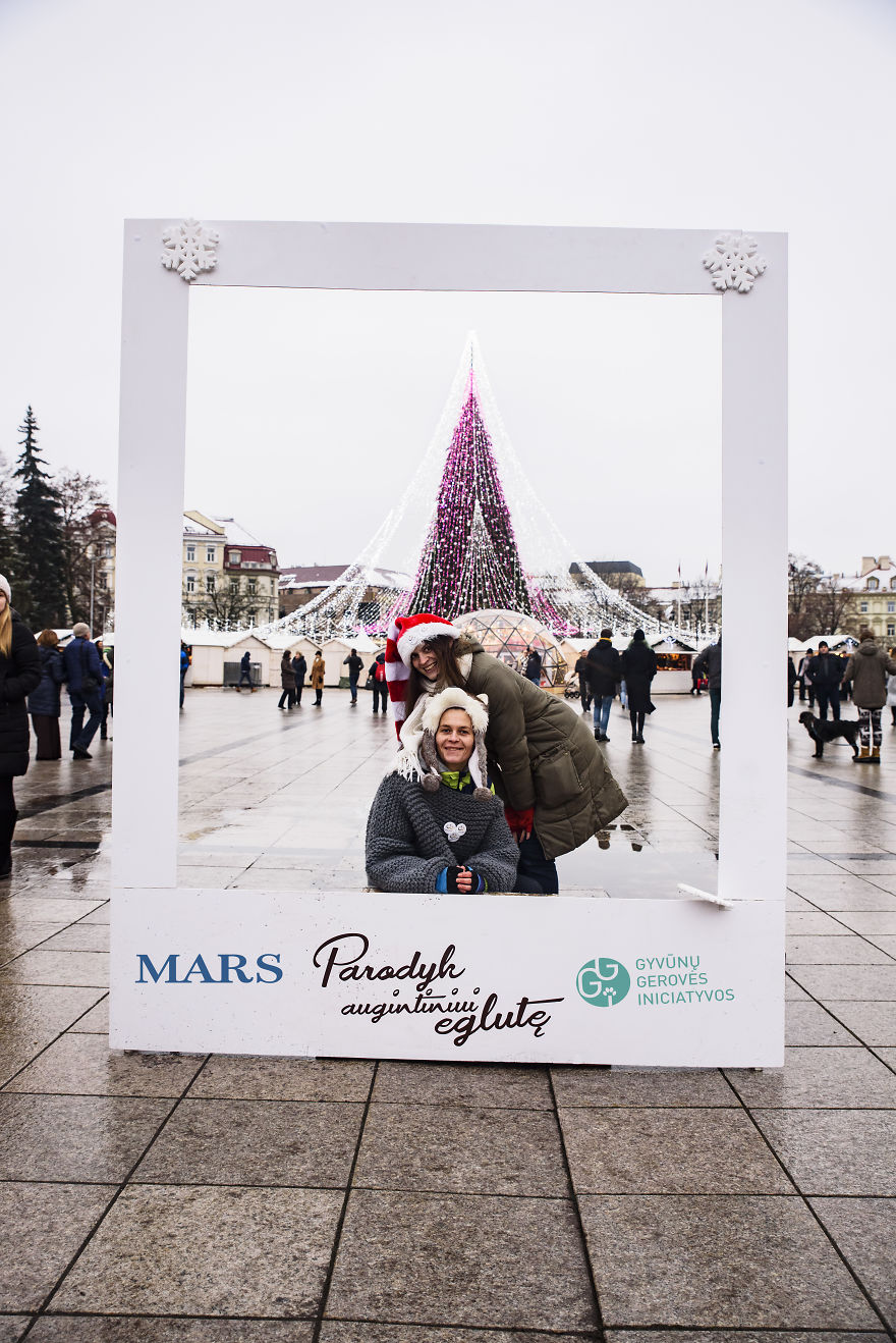 1 Like = 1 Food Serving For Shelter Animals 1 Like = 1 Food Serving For Shelter Animals