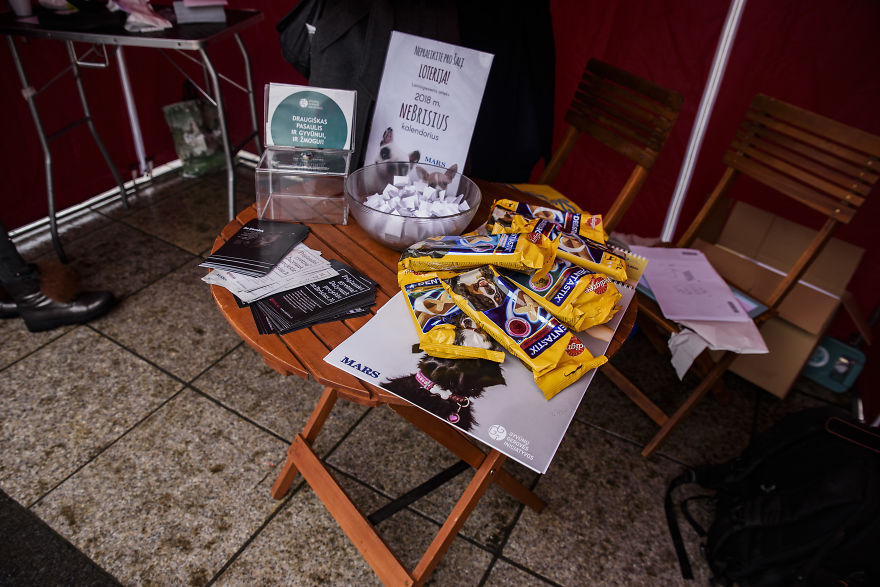 1 Like = 1 Food Serving For Shelter Animals 1 Like = 1 Food Serving For Shelter Animals