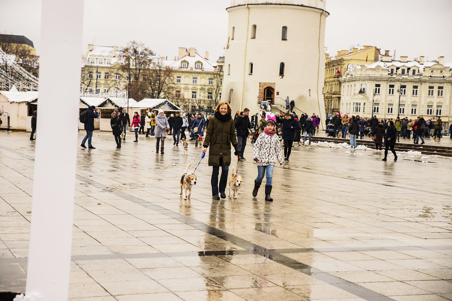 1 Like = 1 Food Serving For Shelter Animals 1 Like = 1 Food Serving For Shelter Animals