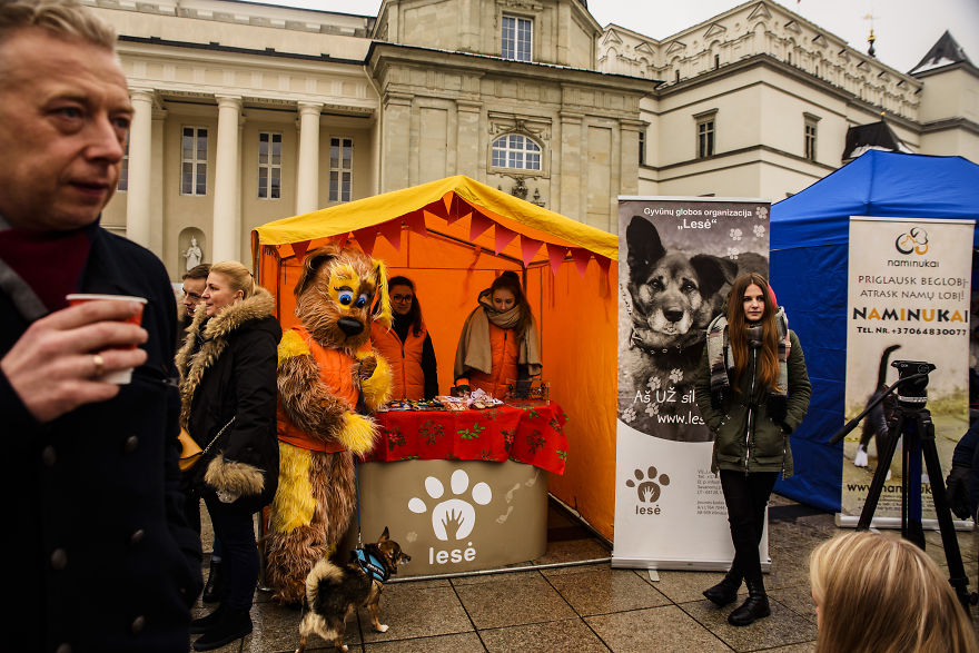 1 Like = 1 Food Serving For Shelter Animals 1 Like = 1 Food Serving For Shelter Animals