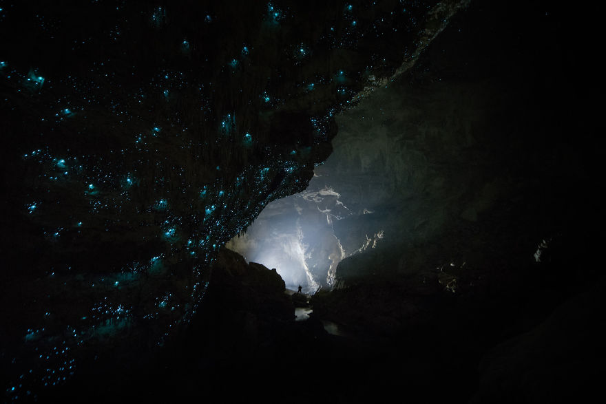 Glow Worms Turn New Zealand Cave Into Starry Night And I Spent Past Year Photographing It (Part 2)