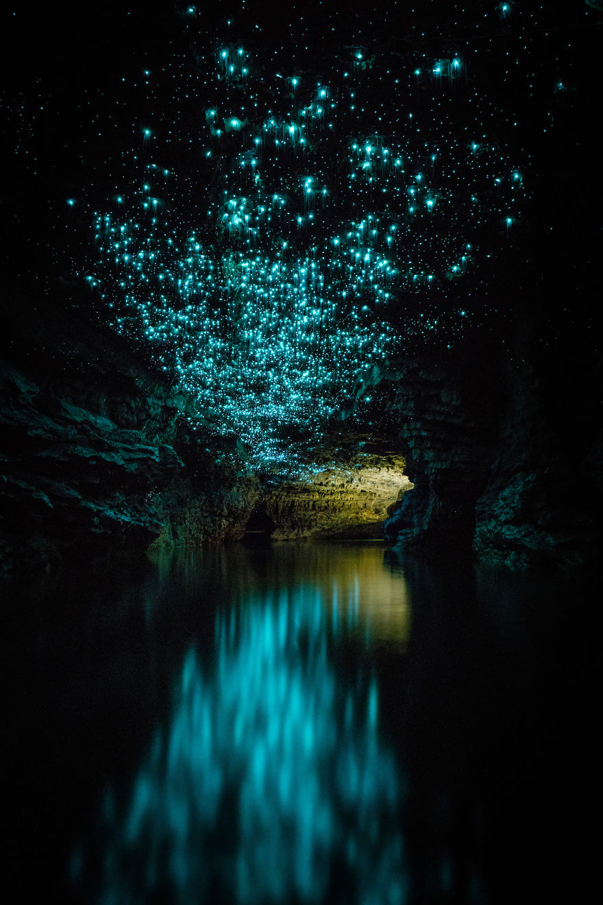 Glow Worms Turn New Zealand Cave Into Starry Night And I Spent Past Year Photographing It (Part 2)