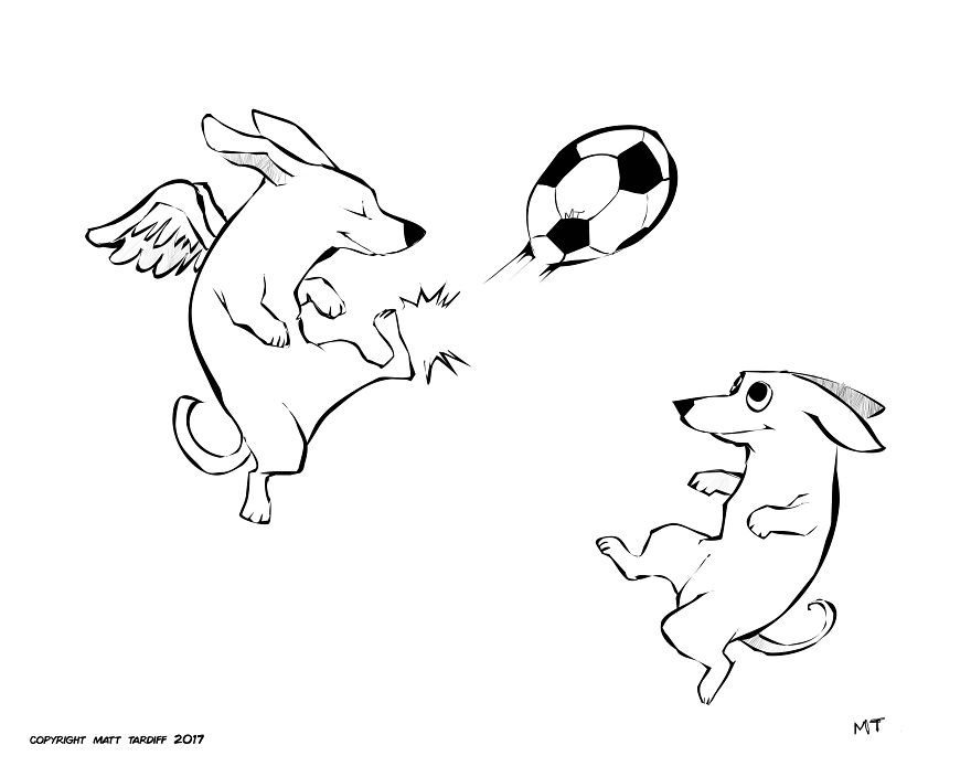 You And The Pets You Love You And The Pets You Love