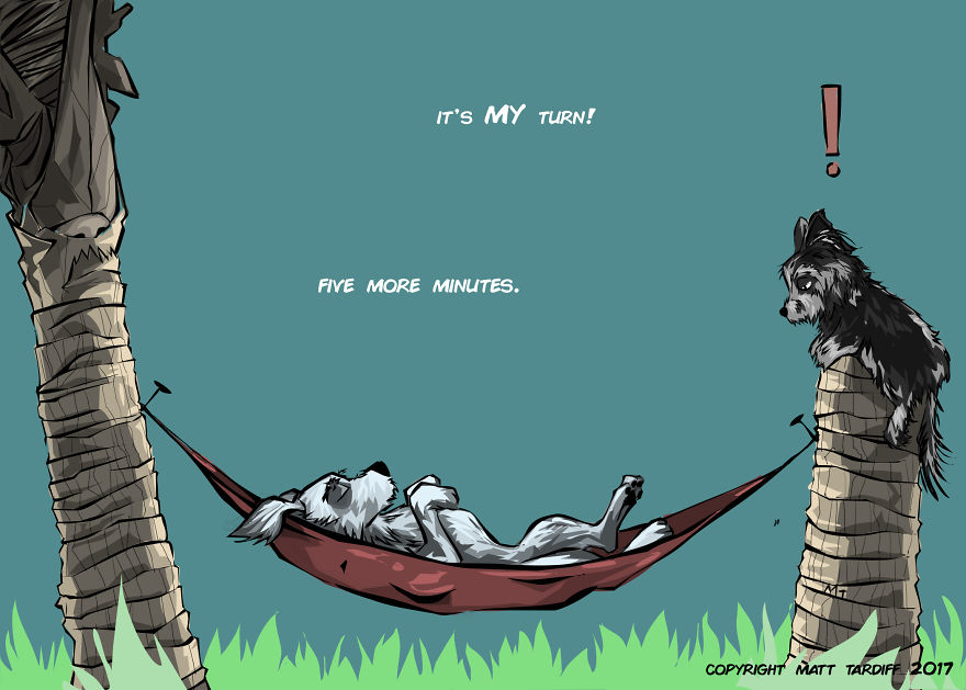 You And The Pets You Love You And The Pets You Love