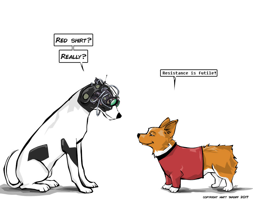 You And The Pets You Love You And The Pets You Love