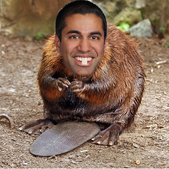 FCC Just Killed Net Neutrality, And Here&#8217;s 55 Of The Best Responses