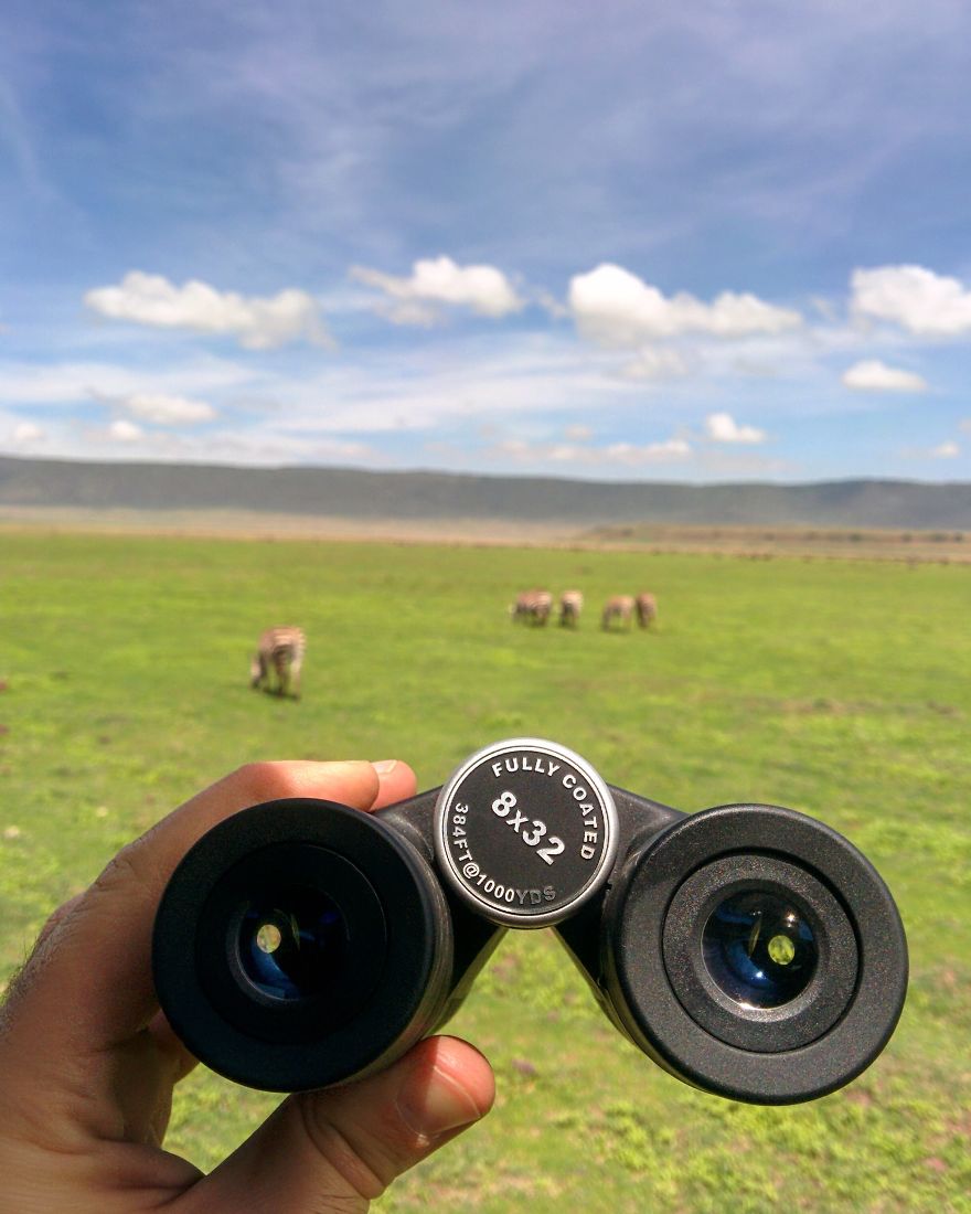 I Went On A Safari And Only Used My Smartphone To Take These Pictures!