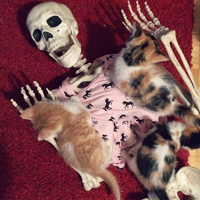 This Instagram Account Pokes Fun At The White Girl Stereotype, And It&#8217;s Hilarious