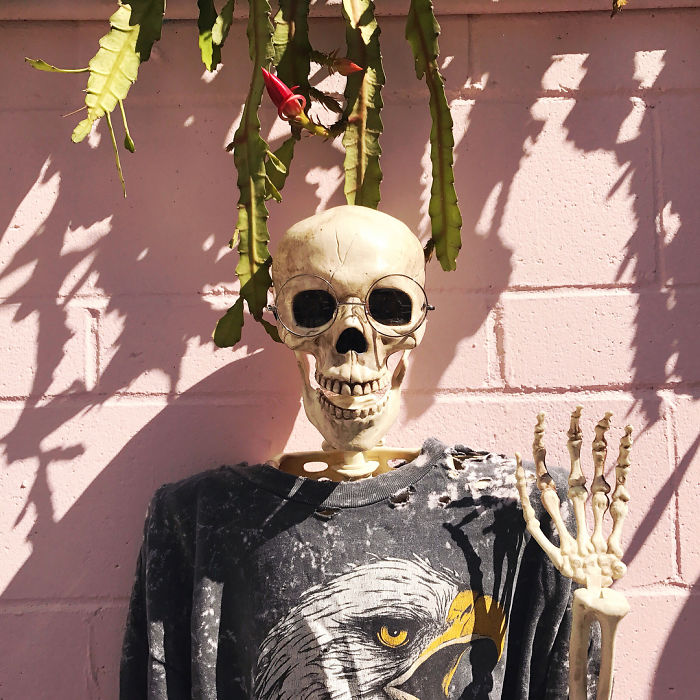 This Instagram Account Pokes Fun At The White Girl Stereotype, And It&#8217;s Hilarious