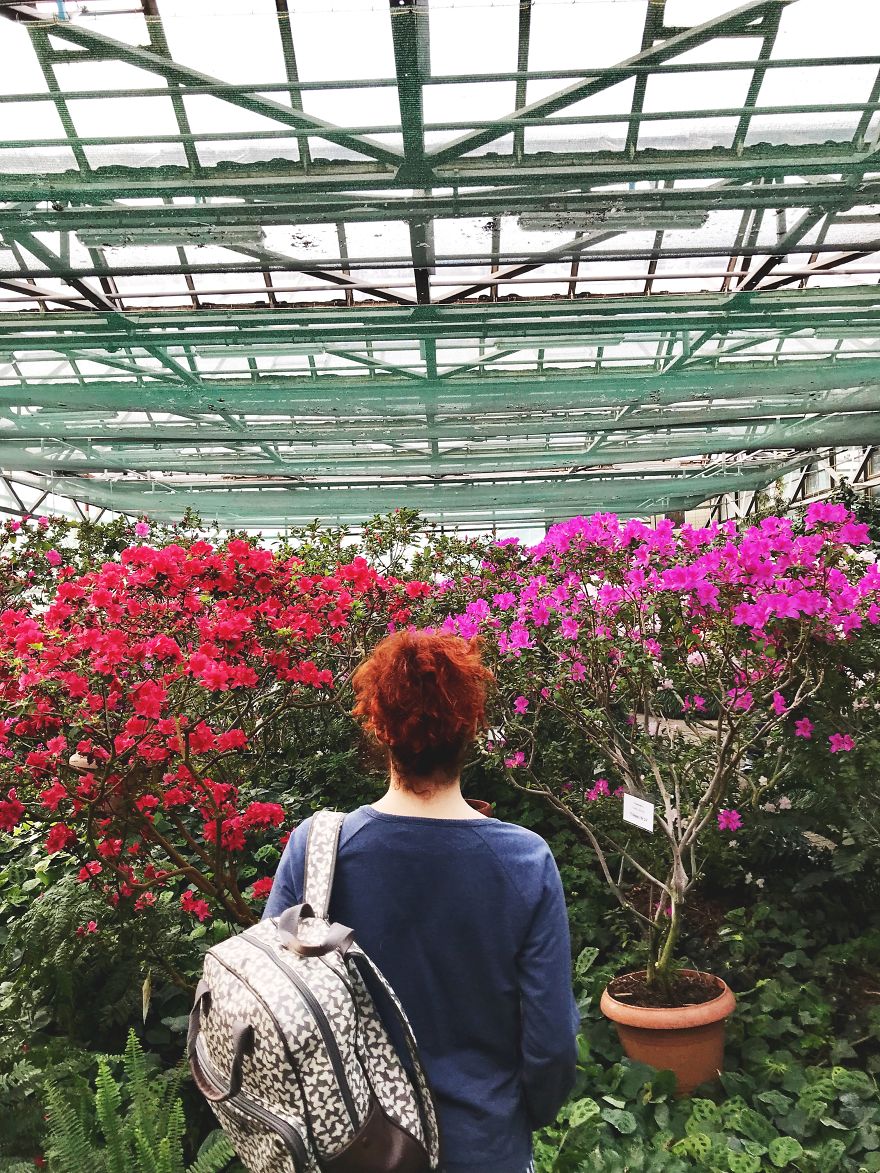 It’s Been A Year: Still Ignoring The Camera, Still Looking Elsewhere It’s Been A Year: Still Ignoring The Camera, Still Looking Elsewhere