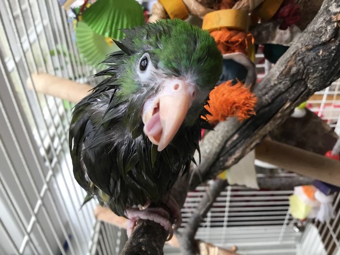 I Run A Small Animal Rescue: This Is What I See Every Day I Run A Small Animal Rescue: This Is What I See Every Day