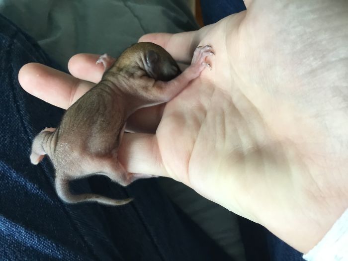 I Run A Small Animal Rescue: This Is What I See Every Day I Run A Small Animal Rescue: This Is What I See Every Day