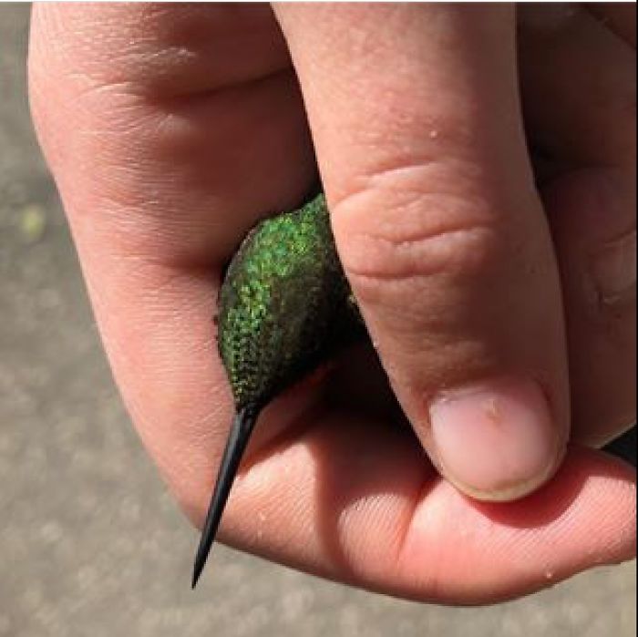 I Run A Small Animal Rescue: This Is What I See Every Day I Run A Small Animal Rescue: This Is What I See Every Day