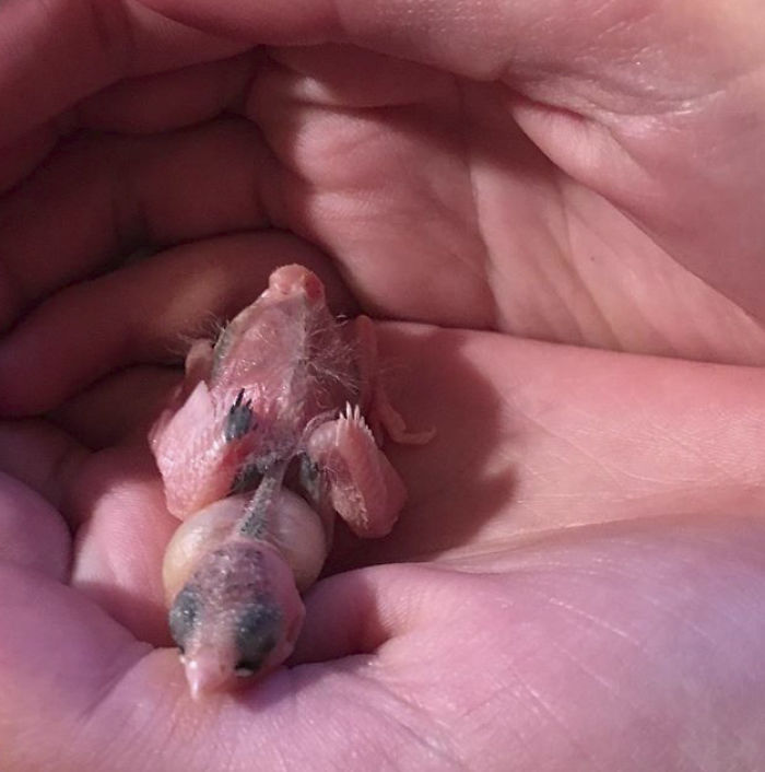 I Run A Small Animal Rescue: This Is What I See Every Day I Run A Small Animal Rescue: This Is What I See Every Day