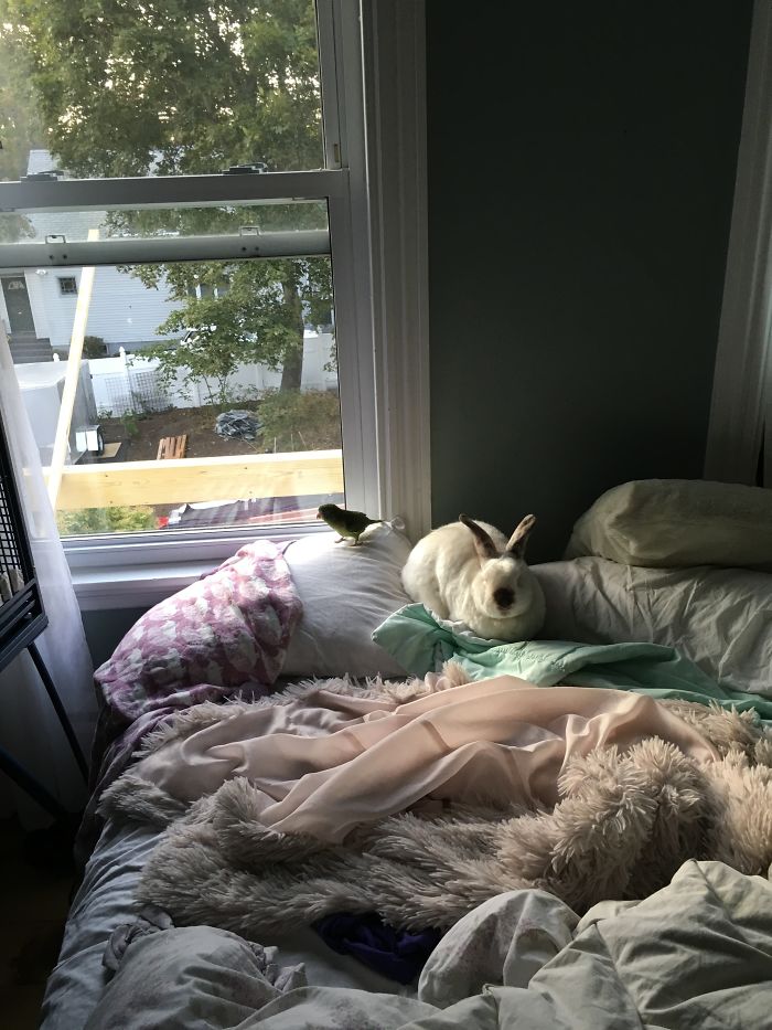 I Run A Small Animal Rescue: This Is What I See Every Day I Run A Small Animal Rescue: This Is What I See Every Day