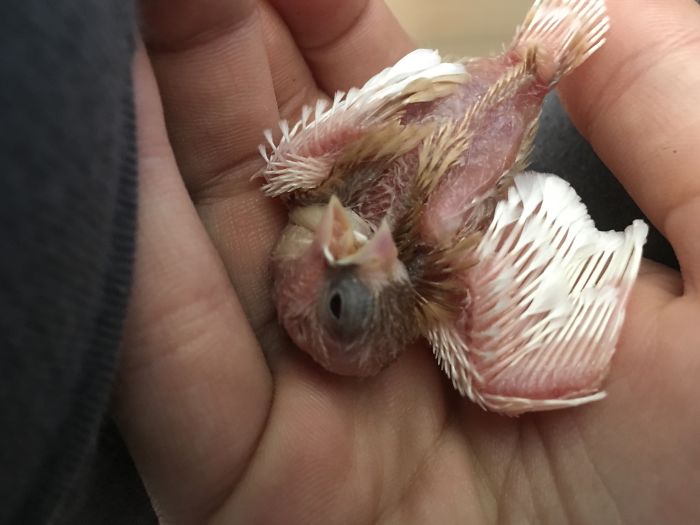 I Run A Small Animal Rescue: This Is What I See Every Day I Run A Small Animal Rescue: This Is What I See Every Day