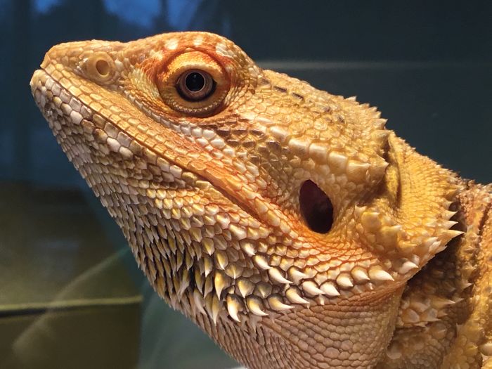 I Run A Small Animal Rescue: This Is What I See Every Day I Run A Small Animal Rescue: This Is What I See Every Day