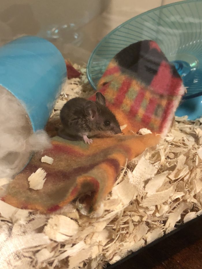 I Run A Small Animal Rescue: This Is What I See Every Day I Run A Small Animal Rescue: This Is What I See Every Day