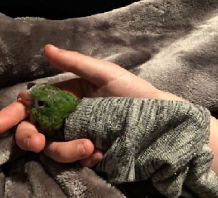 I Run A Small Animal Rescue: This Is What I See Every Day I Run A Small Animal Rescue: This Is What I See Every Day