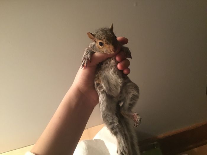 I Run A Small Animal Rescue: This Is What I See Every Day I Run A Small Animal Rescue: This Is What I See Every Day