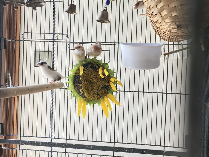 I Run A Small Animal Rescue: This Is What I See Every Day I Run A Small Animal Rescue: This Is What I See Every Day