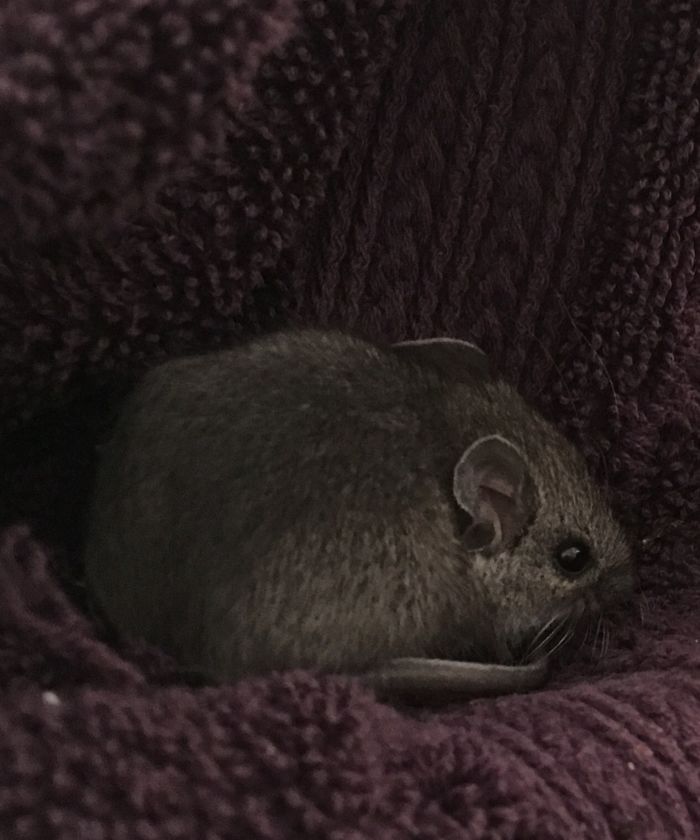 I Run A Small Animal Rescue: This Is What I See Every Day I Run A Small Animal Rescue: This Is What I See Every Day