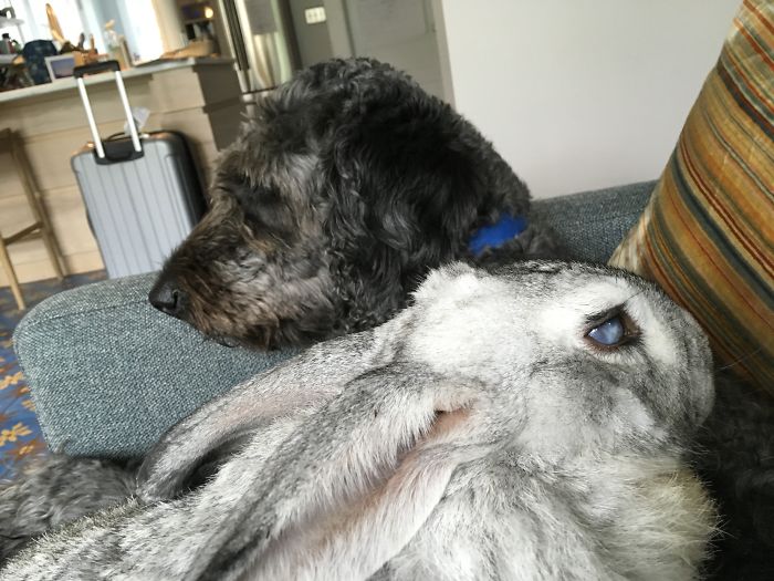 I Run A Small Animal Rescue: This Is What I See Every Day I Run A Small Animal Rescue: This Is What I See Every Day