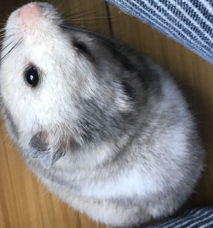 I Run A Small Animal Rescue: This Is What I See Every Day I Run A Small Animal Rescue: This Is What I See Every Day