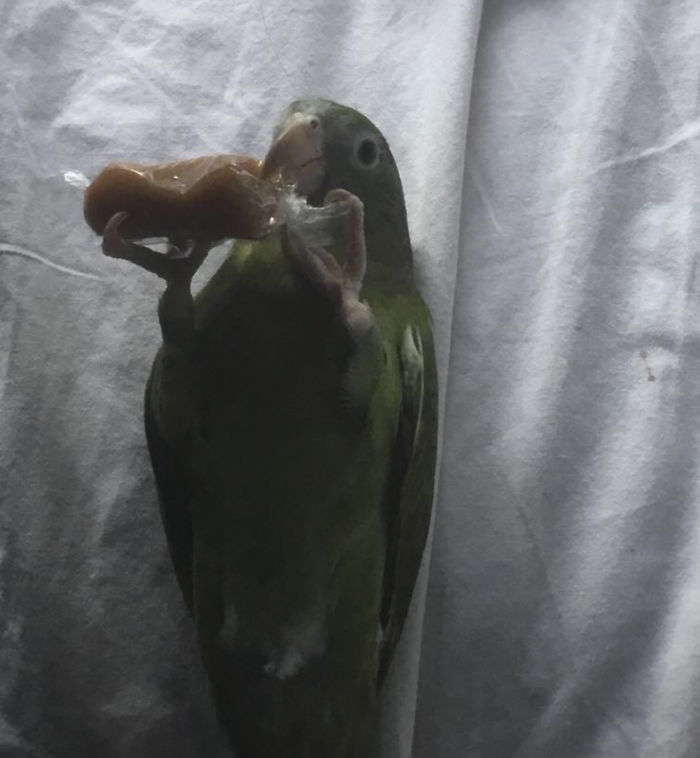 I Run A Small Animal Rescue: This Is What I See Every Day I Run A Small Animal Rescue: This Is What I See Every Day