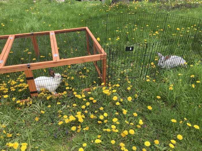 I Run A Small Animal Rescue: This Is What I See Every Day I Run A Small Animal Rescue: This Is What I See Every Day