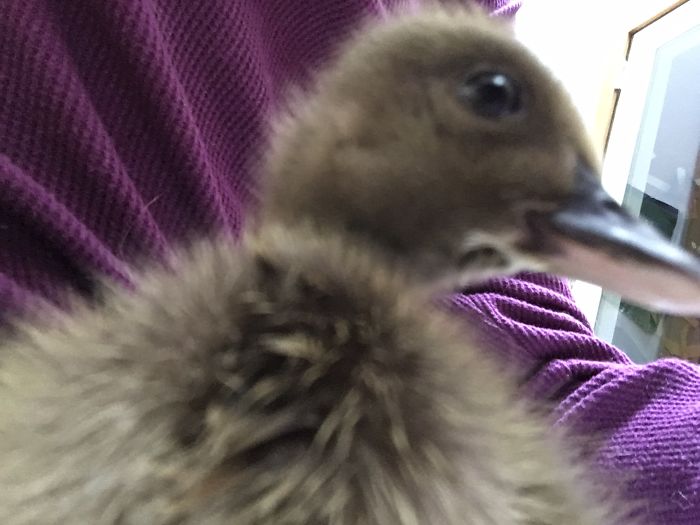 I Run A Small Animal Rescue: This Is What I See Every Day I Run A Small Animal Rescue: This Is What I See Every Day