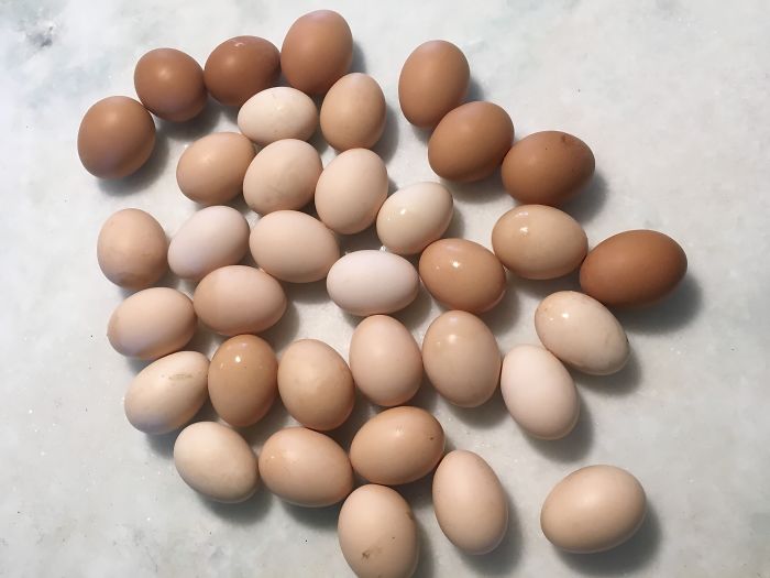 I Run A Small Animal Rescue: This Is What I See Every Day I Run A Small Animal Rescue: This Is What I See Every Day