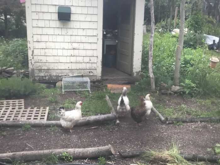 I Run A Small Animal Rescue: This Is What I See Every Day I Run A Small Animal Rescue: This Is What I See Every Day