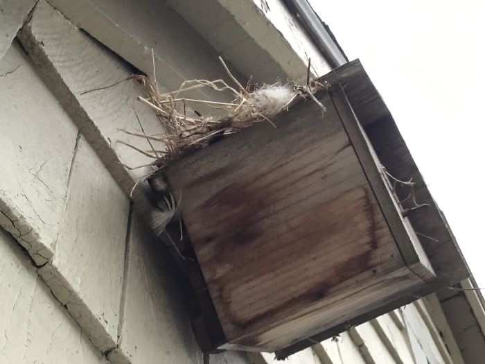 I Run A Small Animal Rescue: This Is What I See Every Day I Run A Small Animal Rescue: This Is What I See Every Day