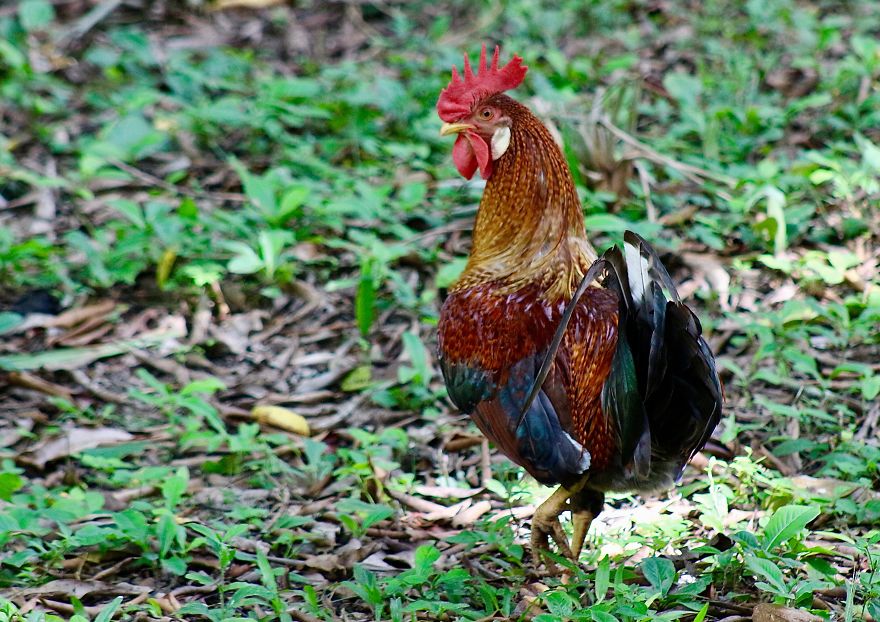 I Documented My Trip To Cuba I Documented My Trip To Cuba