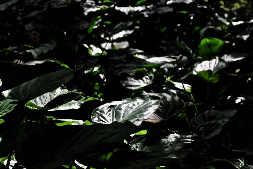 I Documented My Trip To Cuba I Documented My Trip To Cuba