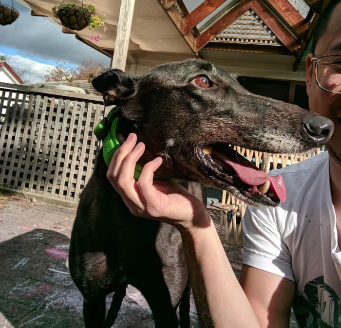 50 Perfectly Timed Pics That Will Make You Look Twice 50 Perfectly Timed Pics That Will Make You Look Twice