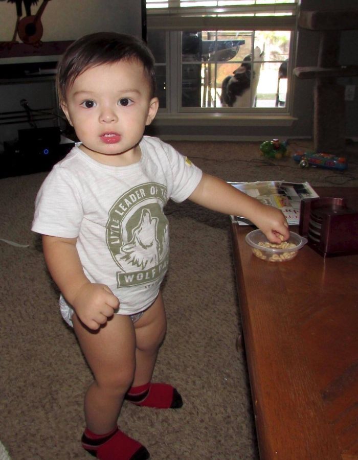 50 Perfectly Timed Pics That Will Make You Look Twice 50 Perfectly Timed Pics That Will Make You Look Twice