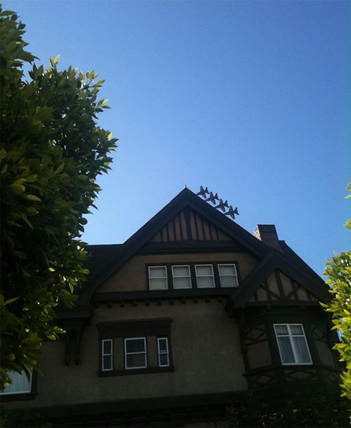 50 Perfectly Timed Pics That Will Make You Look Twice 50 Perfectly Timed Pics That Will Make You Look Twice